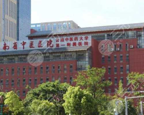 供卵志愿者与试管婴儿技术全解析