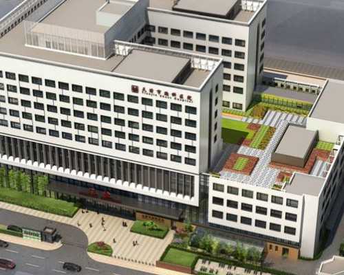 同济医院供卵试管费用解析与高龄助孕指南