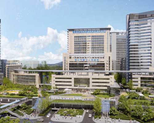 供卵试管费用解析与助孕医院选择指南