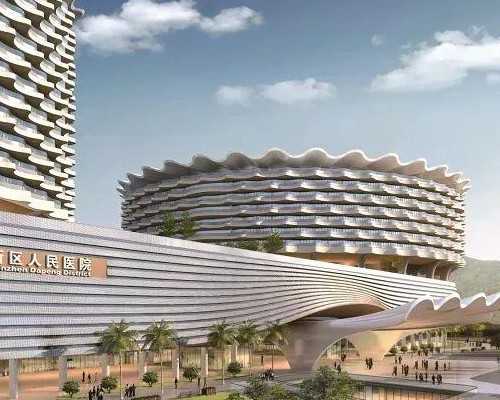 供卵试管费用与生男孩选择解析