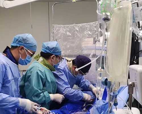 2026武汉冷冻卵子费用解析及代生服务指南