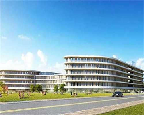 提高供卵代孕成功率的关键因素与家庭支持指南